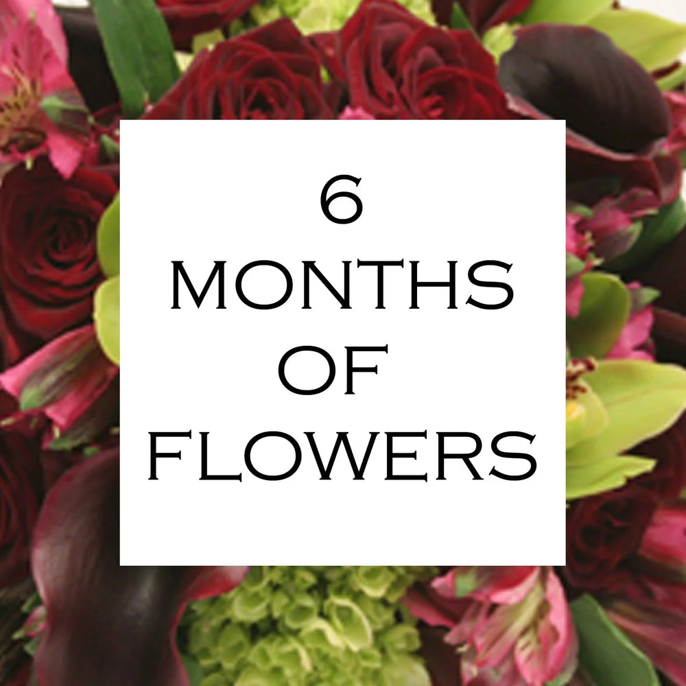 6 Months of Flowers