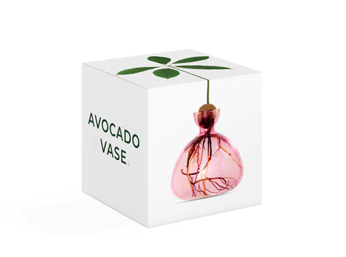 Avocado Vase - Rose