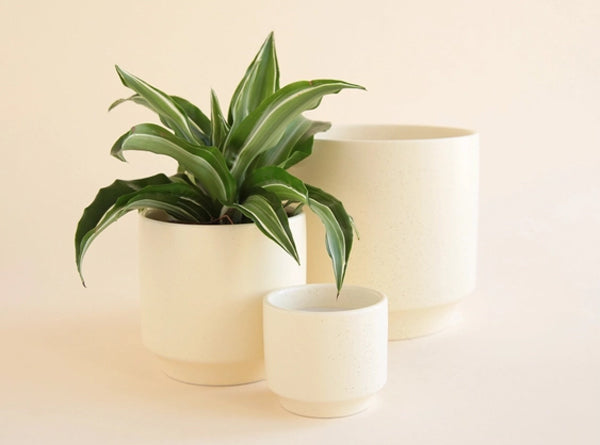 Parker Pot - White Speckle